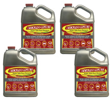 Load image into Gallery viewer, Evapo-Rust® Rust Remover